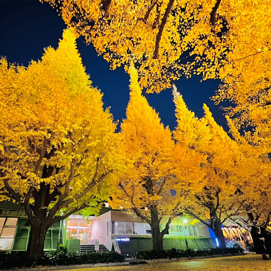 歴史と伝統を誇るテニスクラブ