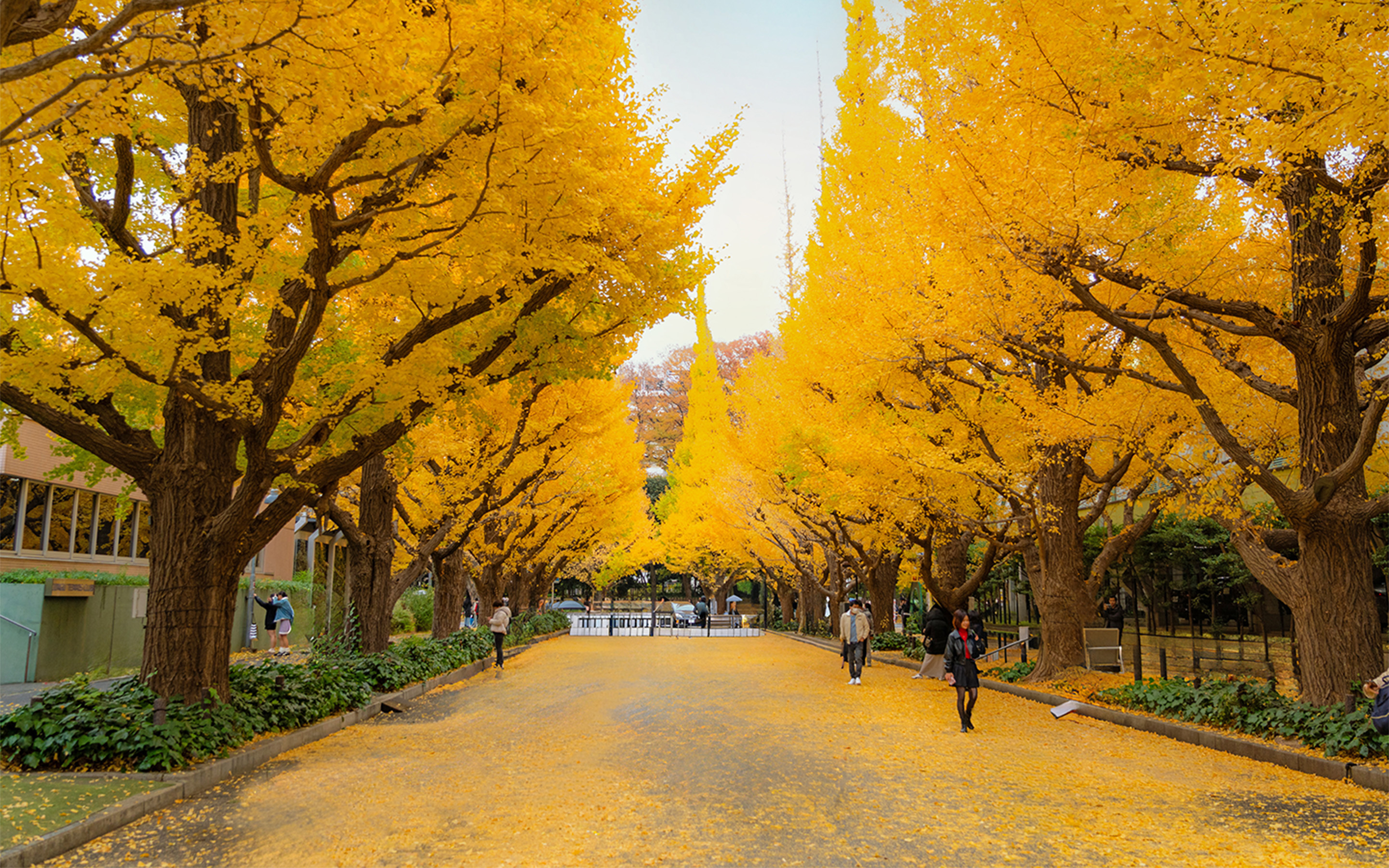 伝統を誇る自然豊かなテニスコートで優雅なひとときを
